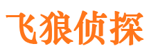 武川市婚姻出轨调查